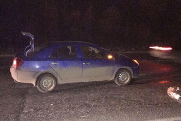 Шел по проезжей части в темной одежде. В Екатеринбурге под колесами легковушки погиб пешеход