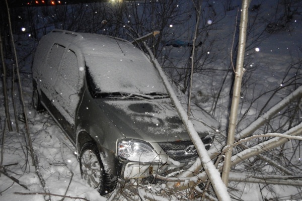 Водителю, сбившему худрука театра и полицейского, вынесли приговор в Первоуральске - Фото 1