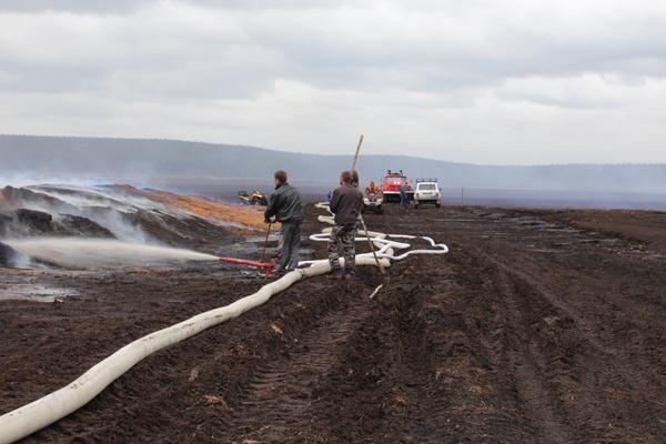 В Реже и Ивделе продолжают полыхать леса - Фото 1