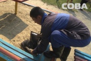 ШОК! Двухлетний екатеринбуржец откопал в песочнице труп кота