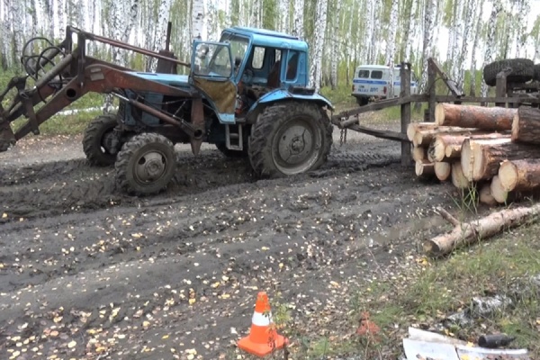 В Каменском районе опрокинувшийся прицеп с лесом убил человека - Фото 1