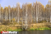 В Заречном полицейские нашли заблудившегося в лесу грибника