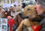 «Мы не можем оставаться в стороне». Зоозащитники проведут пикет за ужесточение наказания для мучителей животных