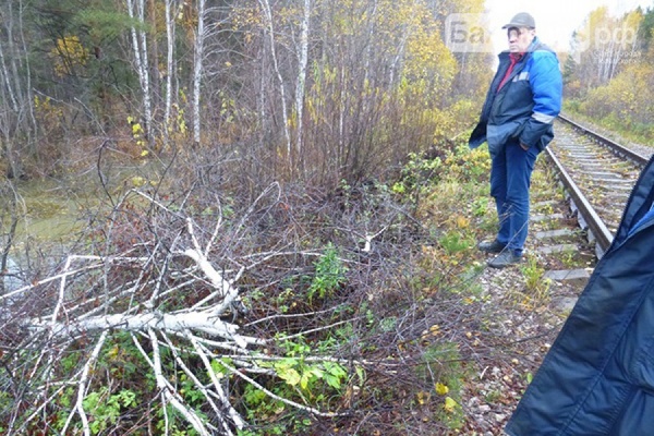 ФОТО: Бажополь.рф