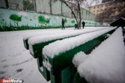 «Вывезено более двух тысяч тонн снега». Власти Екатеринбурга и области отчитываются о борьбе с последствиями снегопада