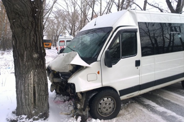 В Асбесте водитель микроавтобуса врезался в дерево. Пострадали 4 человека - Фото 1