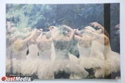 Искусство балета в трех актах. В Екатеринбурге открылась фотовыставка Полины Стадник. ФОТО