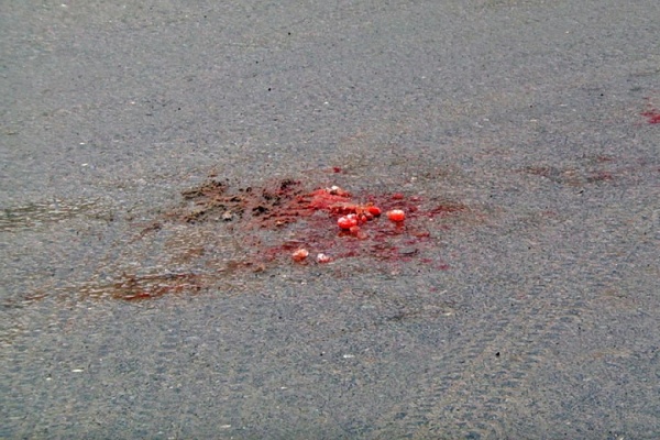 На ВИЗе Daewoo Nexia сбила пенсионерку на пешеходном переходе - Фото 1