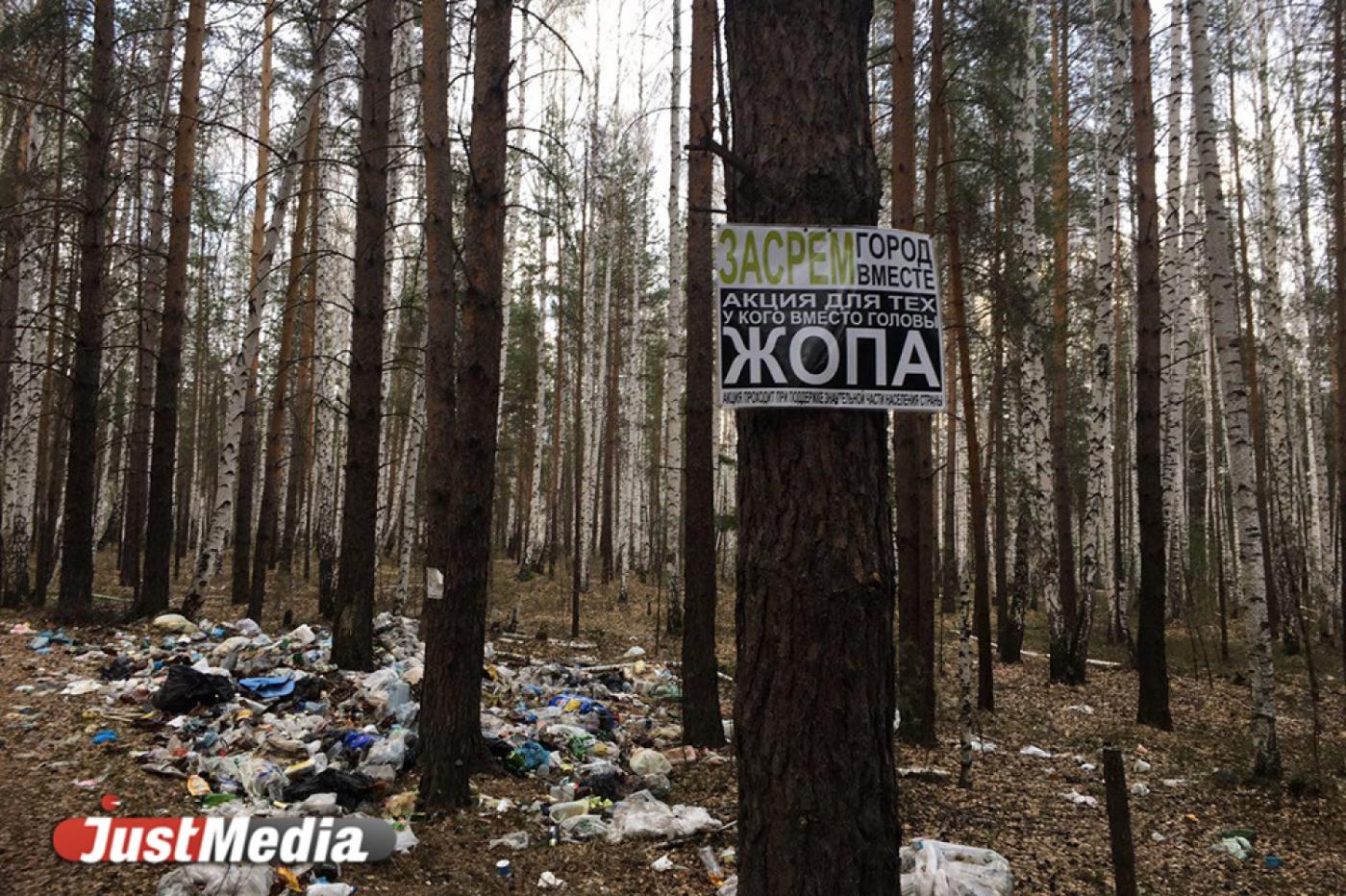 «Засрем город вместе». Уральские дачники начали украшать лесные свалки плакатами. ФОТО - Фото 1
