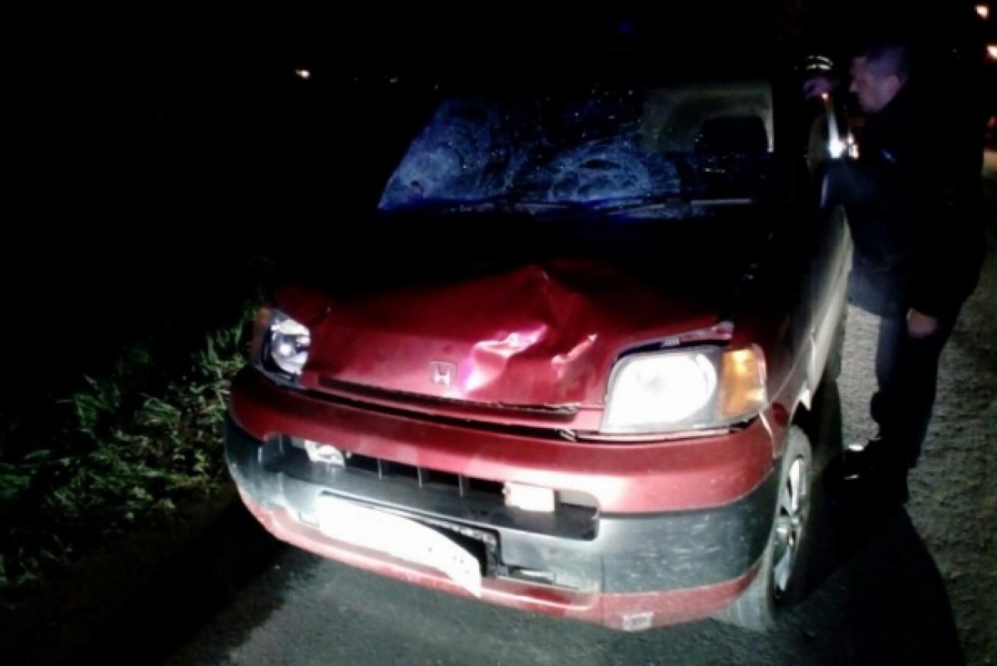 Водитель, сбивший насмерть двух девочек под Заречным, будет ждать суда в СИЗО - Фото 1