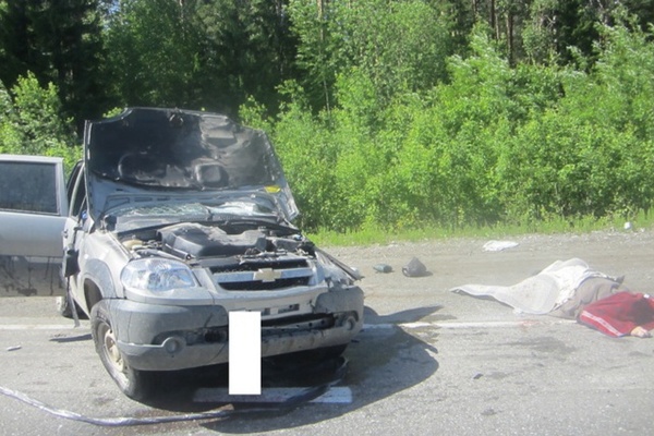 На трассе Серов – Ивдель сибиряк на «Ниве» заехал под фуру. ФОТО