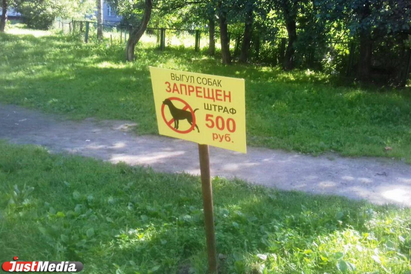 На Уралмаше начали штрафовать за выгул собак - Фото 1