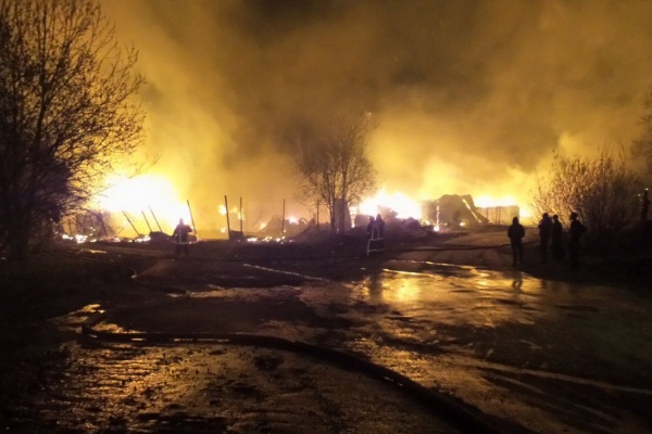 Крупный пожар в Екатеринбурге уничтожил несколько дач - Фото 1