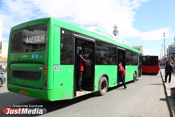 В Екатеринбурге появятся новые зеленые автобусы - Фото 1