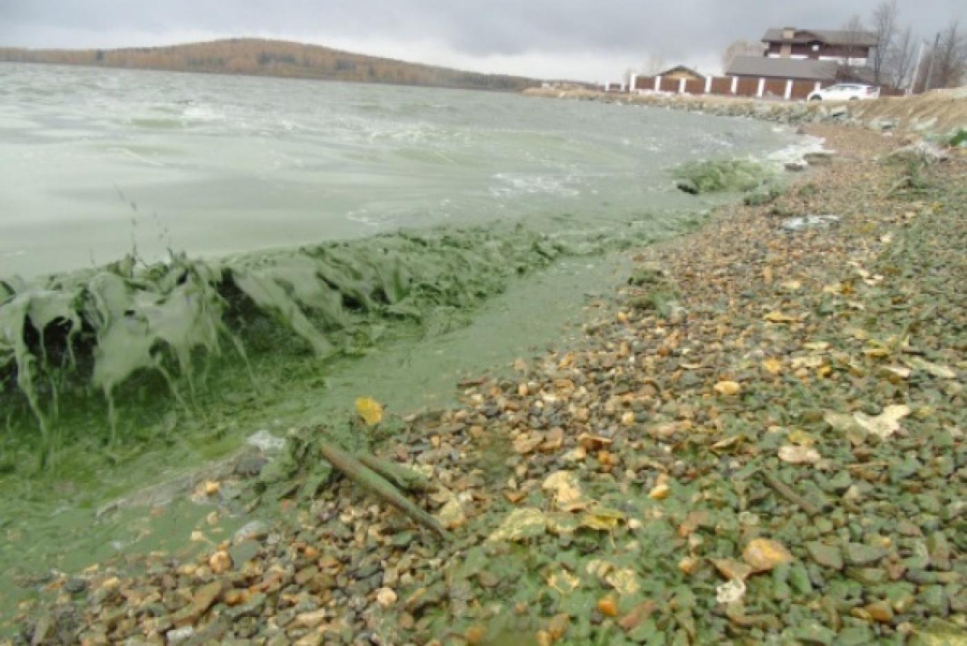 Носов перед приездом Путина согласовал концессию по реабилитации Черноисточинского водохранилища - Фото 1