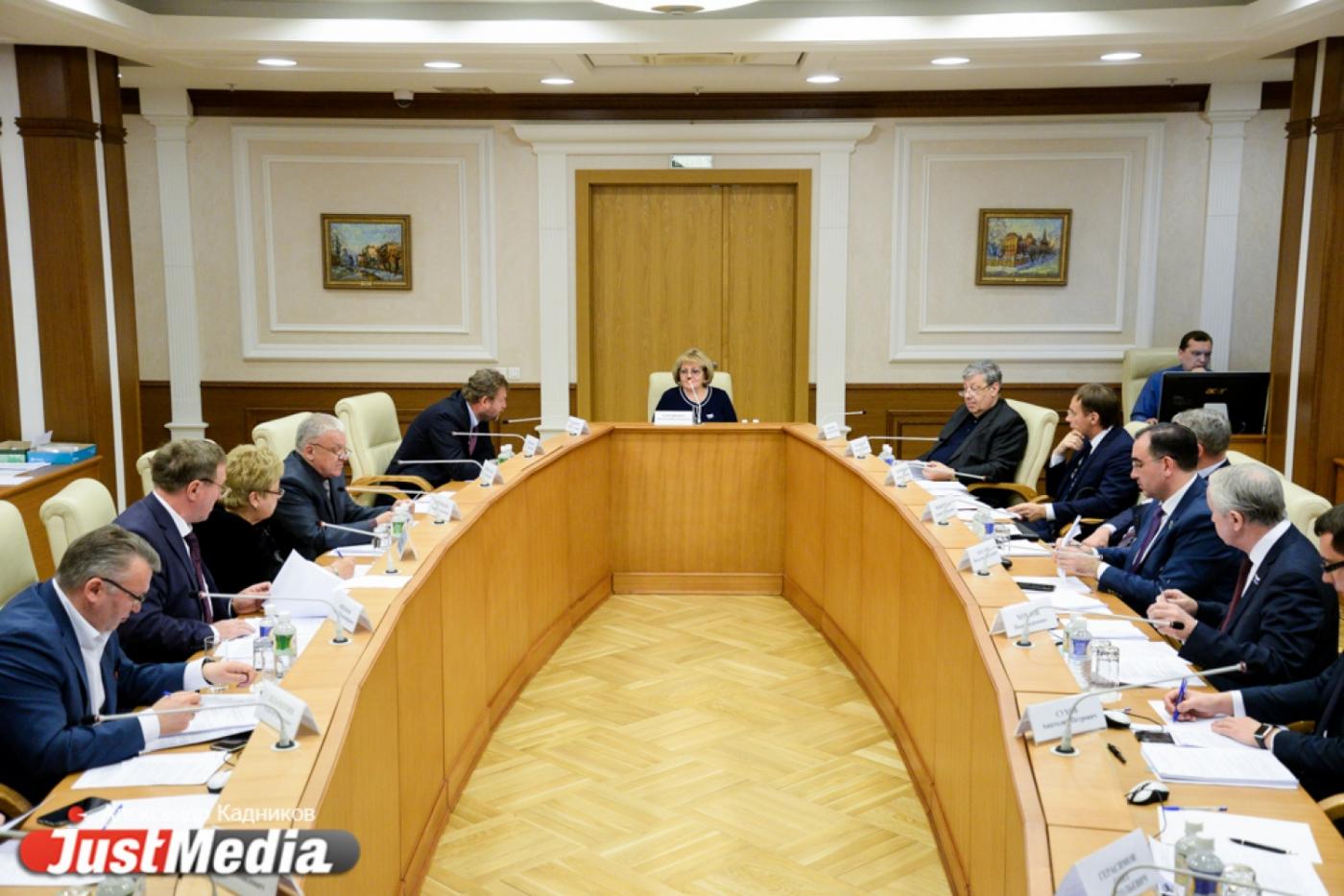 Свердловская «Депутатская вертикаль» просит Госдуму побыстрее принять закон для наказания «гряземесов» - Фото 1