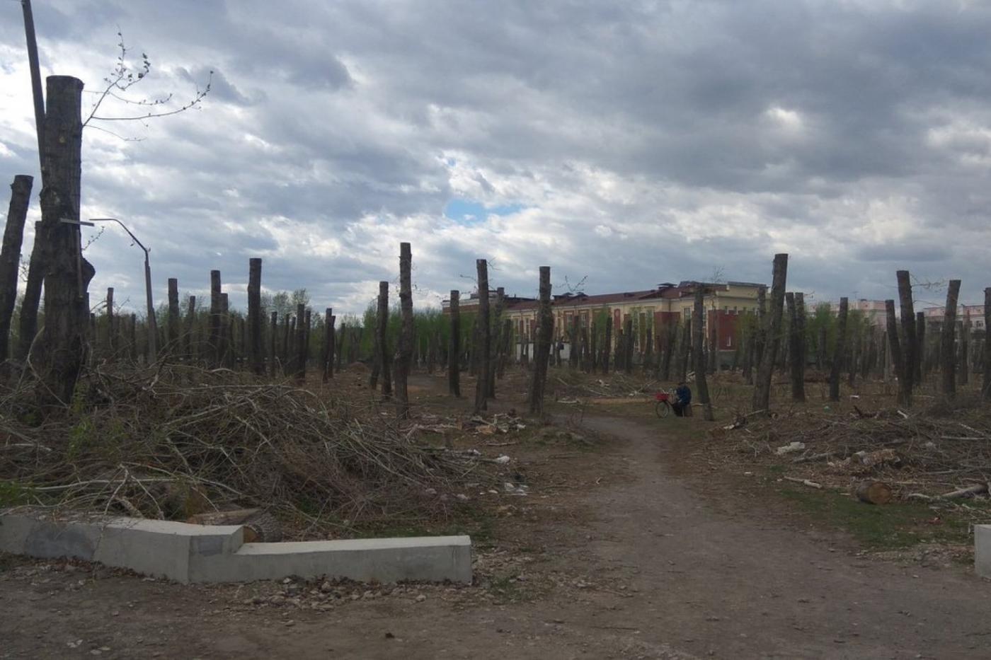 Власти Каменска-Уральского создали парк болванок - Фото 1