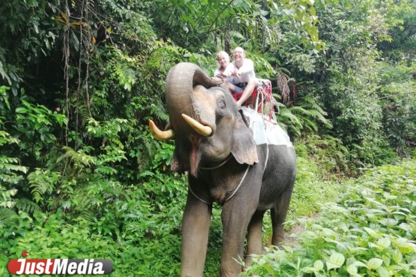 Молодожены Елена и Александр Григорьевы: «Привет с острова Пхукет. Солнце светит, море поет, а мы счастливы». В Екатеринбурге +25. ФОТО