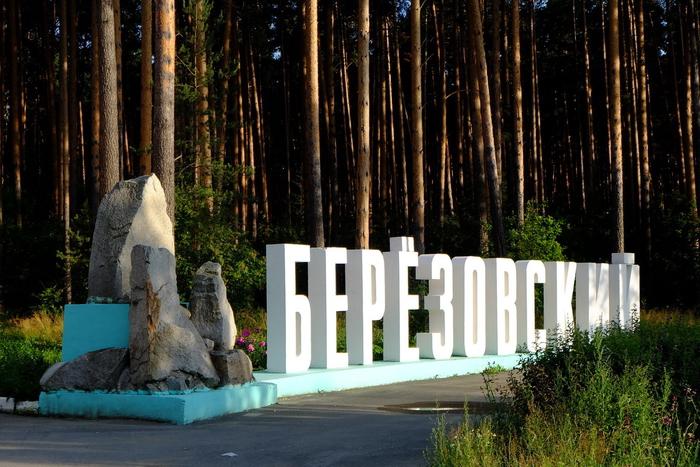 В Березовском отменили митинг с требованием жестоко наказать убийц инвалида - Фото 1