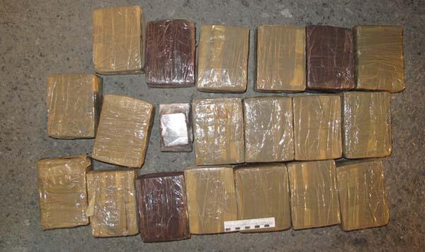 Кандидат в депутаты ЕГД предложил всем единороссам добровольно сдать тест на наркотики - Фото 1