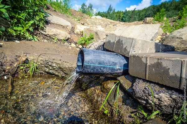 Фото: блог Андрея Альшевских