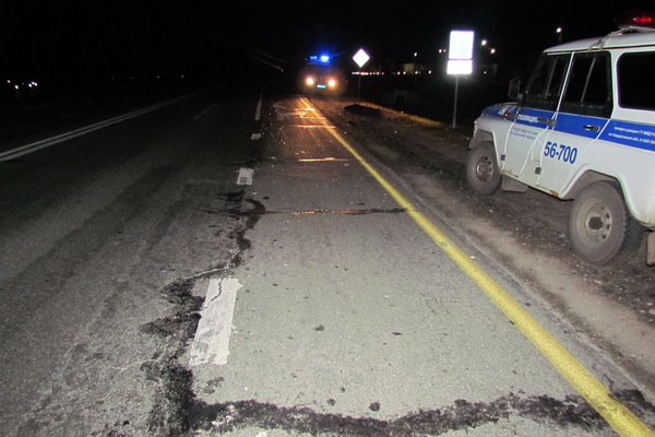 ГИБДД ищут водителя грузовика, сбившего 20-летнего парня ночью на трассе под Талицей - Фото 1