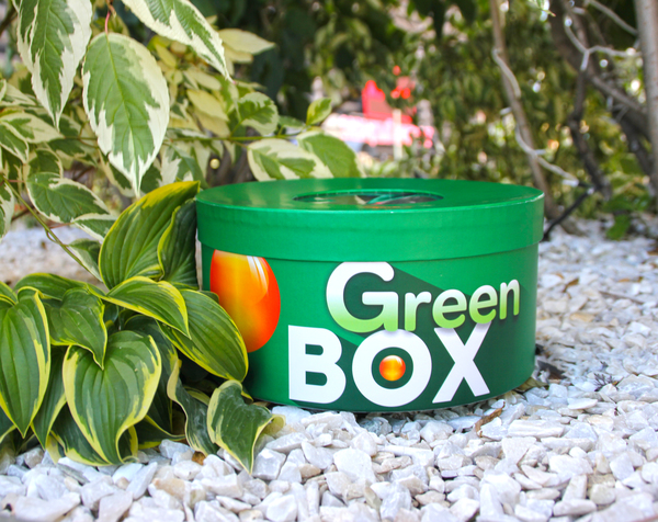 В Екатеринбурге разработали первый экологичный GreenBOX, который разыграют среди жителей города - Фото 1