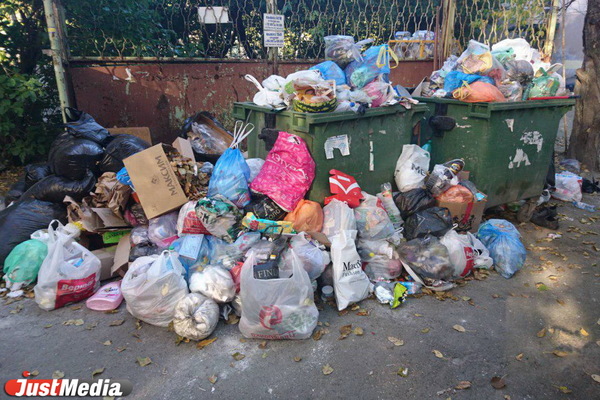 Дворы в центре Екатеринбурга уже две недели завалены мусором из-за «технического сбоя» у подрядчика - Фото 1