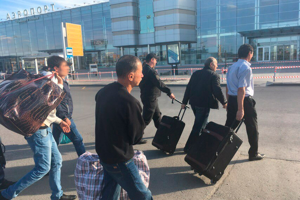Из Екатеринбурга выдворены более 1600 нелегальных мигрантов - Фото 1