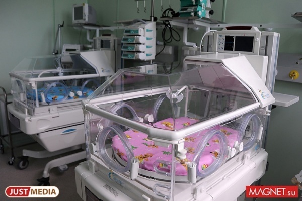 В Екатеринбурге родились первые дети, зачатые в Ельцин Центре с помощью ЭКО - Фото 1