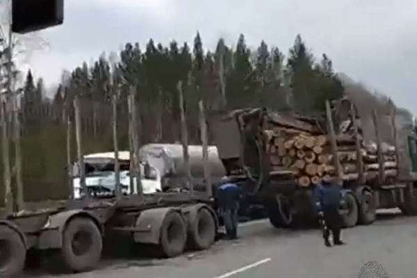 В Свердловской области груженый лесовоз протаранил КамАЗ - Фото 1