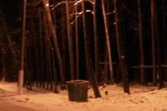 На воркаут-площадке в ЦПКиО появилось освещение - Фото 1