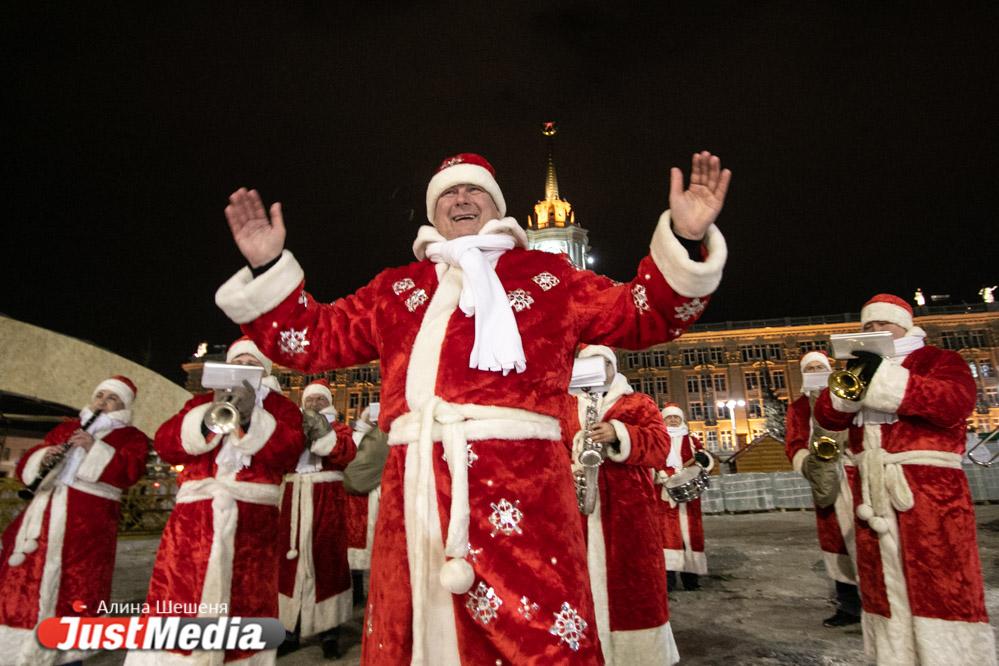 Встречали с оркестром Павлова и танцующими медведями. В Екатеринбург привезли главную новогоднюю ель Среднего Урала - Фото 1