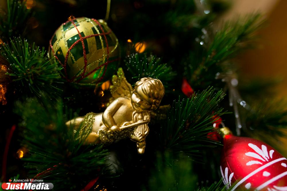 Свердловские лесничества начинают продажу новогодних живых елей за копейки - Фото 1