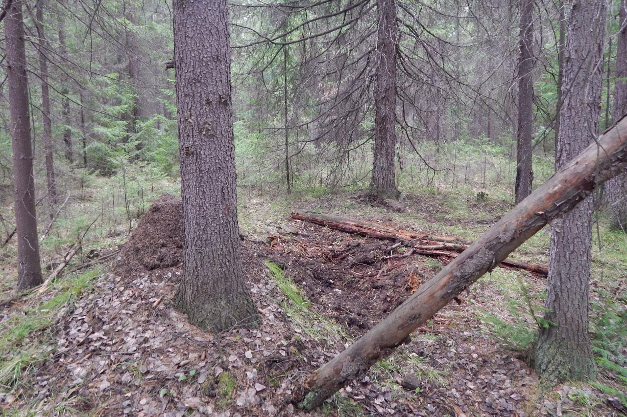 В Кировграде будет судить четырех мужчин, которые похитили и убили в лесу человека - Фото 1