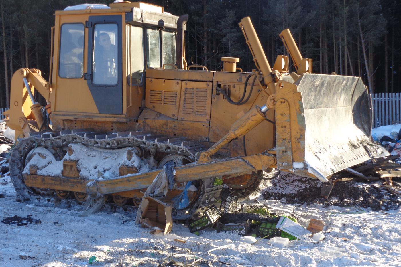 В Екатеринбурге уничтожили 60 килограммов яблок - Фото 1