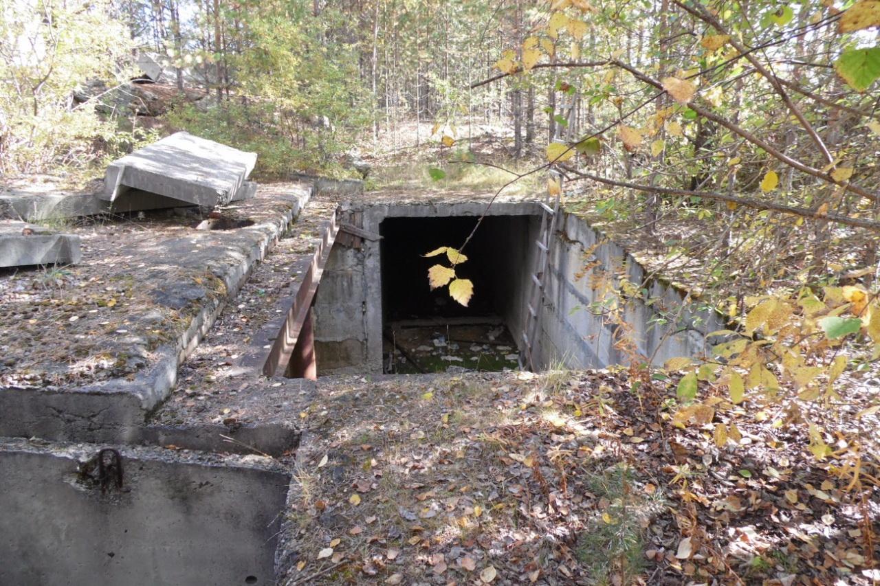 На Урале будут судить бомжа, который расправился с оппонентом поленом - Фото 1