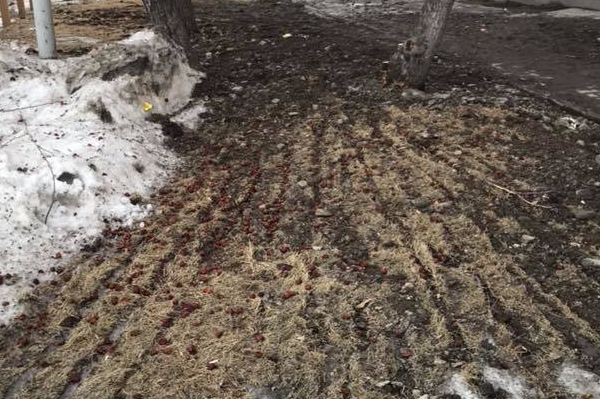 Фото: Тимофей Жуков / facebook.com