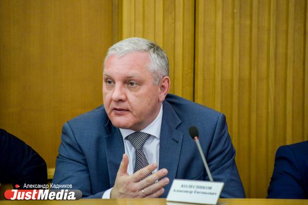 В думе Екатеринбурга недовольны рейдами ОНФ по убитым дорогам - Фото 1