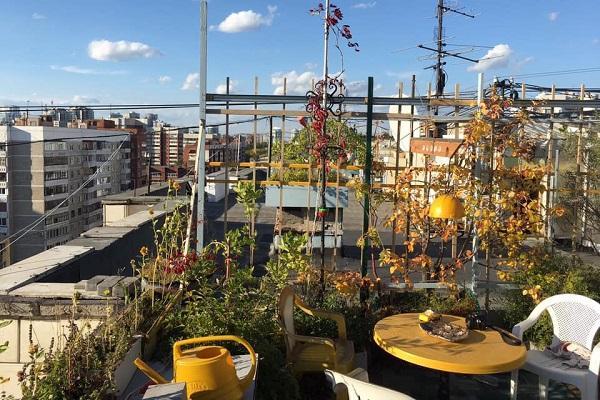 В Екатеринбурге у пенсионера, устроившего сад на крыше дома, украли уцелевшие после разгрома деревья - Фото 1