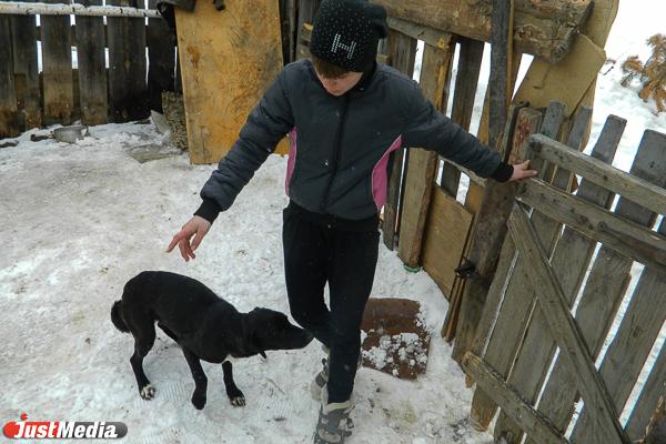 В Екатеринбурге осудили мужчину, который взял в лес собаку, чтобы убить ее - Фото 1