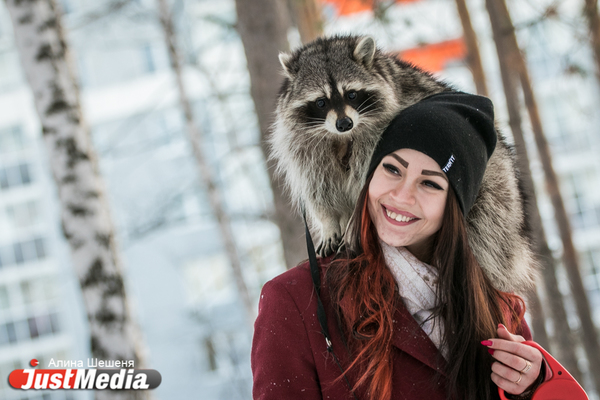 Дарья Вепрева и енот Ракета: «Желаем вам теплых деньков». В Екатеринбурге -11 - Фото 1