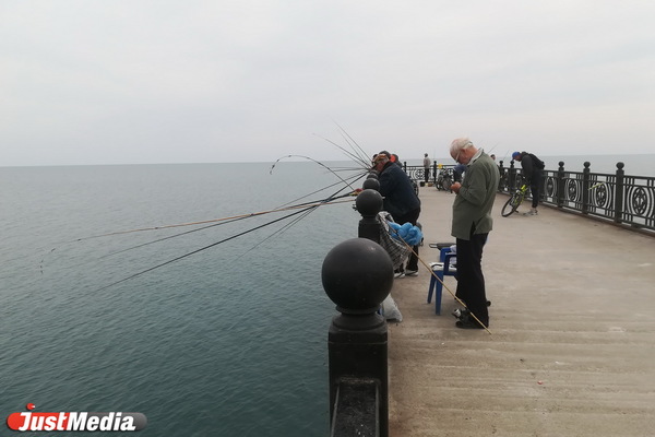 Прокуратура Невьянска оставила местных рыбаков без электроудочек - Фото 1