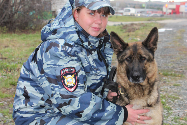 ФСБ проводит обыски в кинологической службе регионального полицейского главка - Фото 1