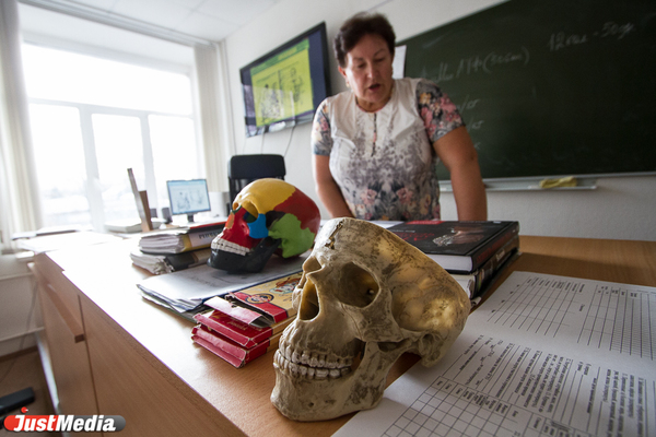 Свердловский Минобр хочет избавить учителей от бумажной работы - Фото 1