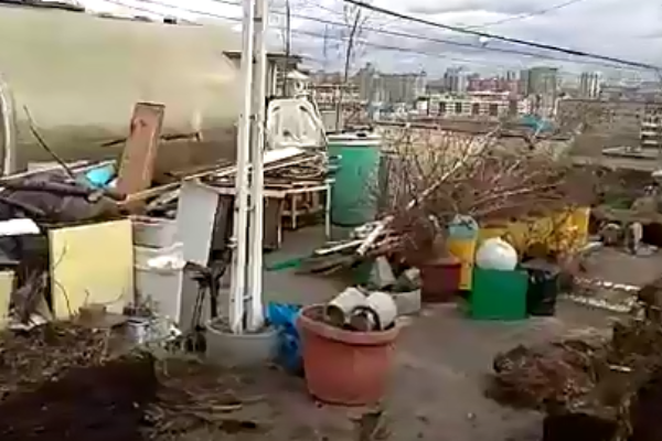 В Екатеринбурге сотрудники управляющей компании разрушили уникальный сад на крыше многоэтажки - Фото 1