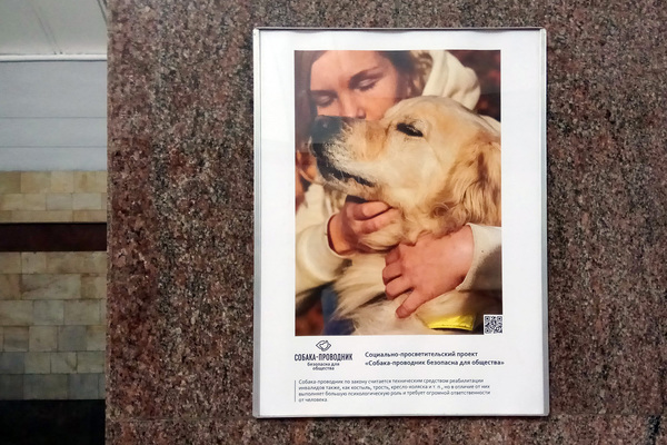 В метро Екатеринбурга открылась фотовыставка, посвященная собакам-поводырям - Фото 1