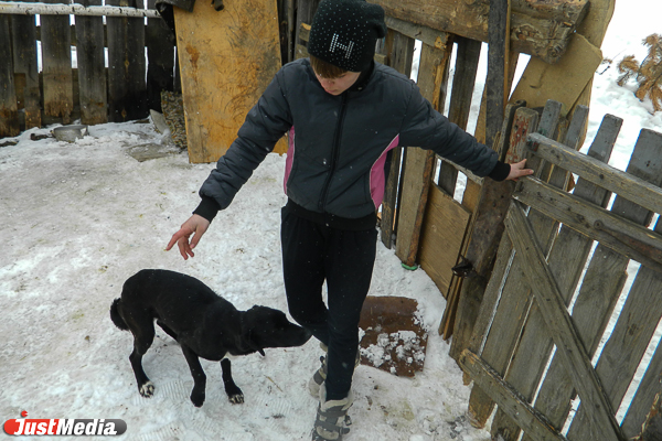 В Екатеринбурге осудили мужчину, который взял в лес собаку, чтобы убить ее - Фото 1