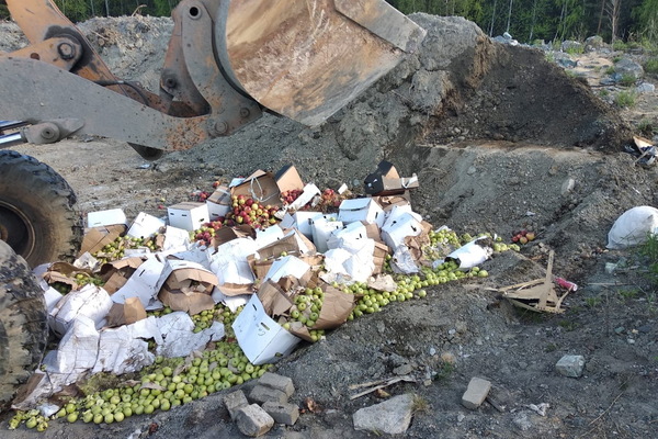 Уральские таможенники пресекли распространение нелегальных яблок и нектаринов - Фото 1