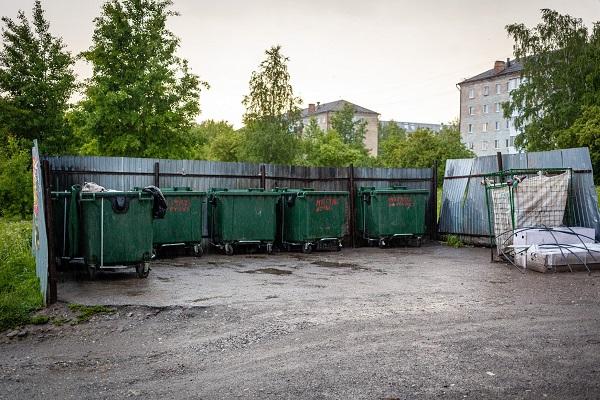 «Чисто, как никогда». Депутат Госдумы проинспектировал Верхнюю Салду после жалобы Путину - Фото 1